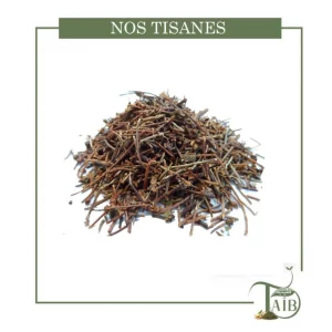 Plante _Queues de cerise(ventre plat)